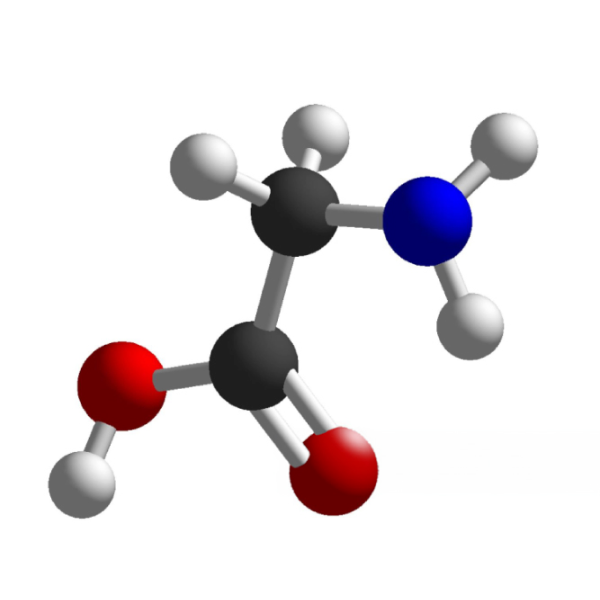 17 Amino Acids